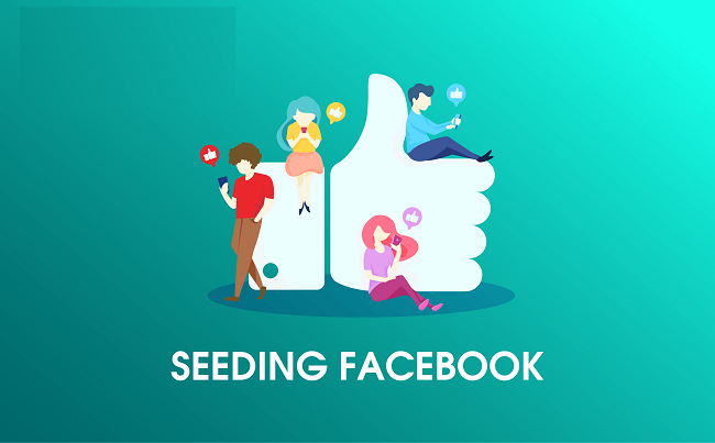 tips seeding facebook cho spa 